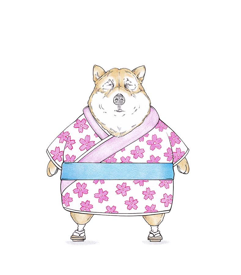 Shiba Inu Hund im Kimono