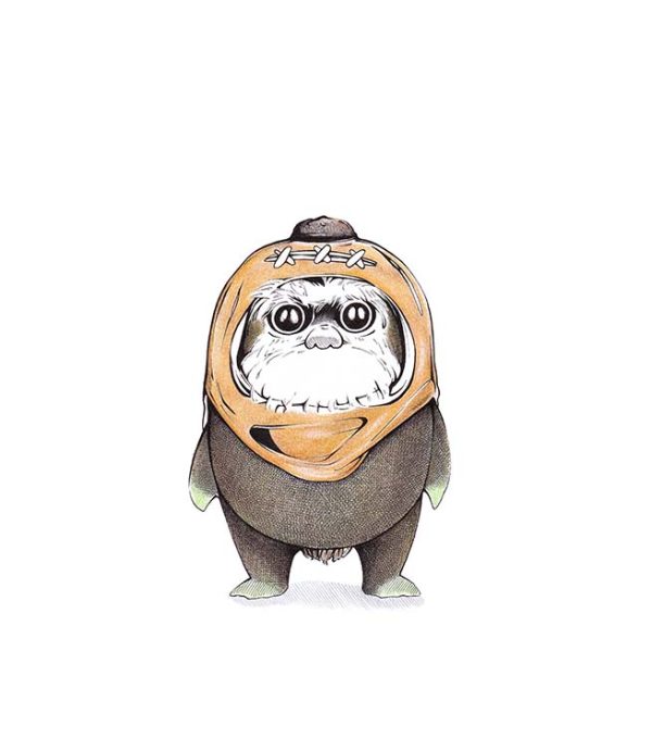 Ewok Kiwi