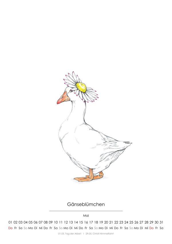Vogel-Kalender 2025 "Geflügel" – Bild 2