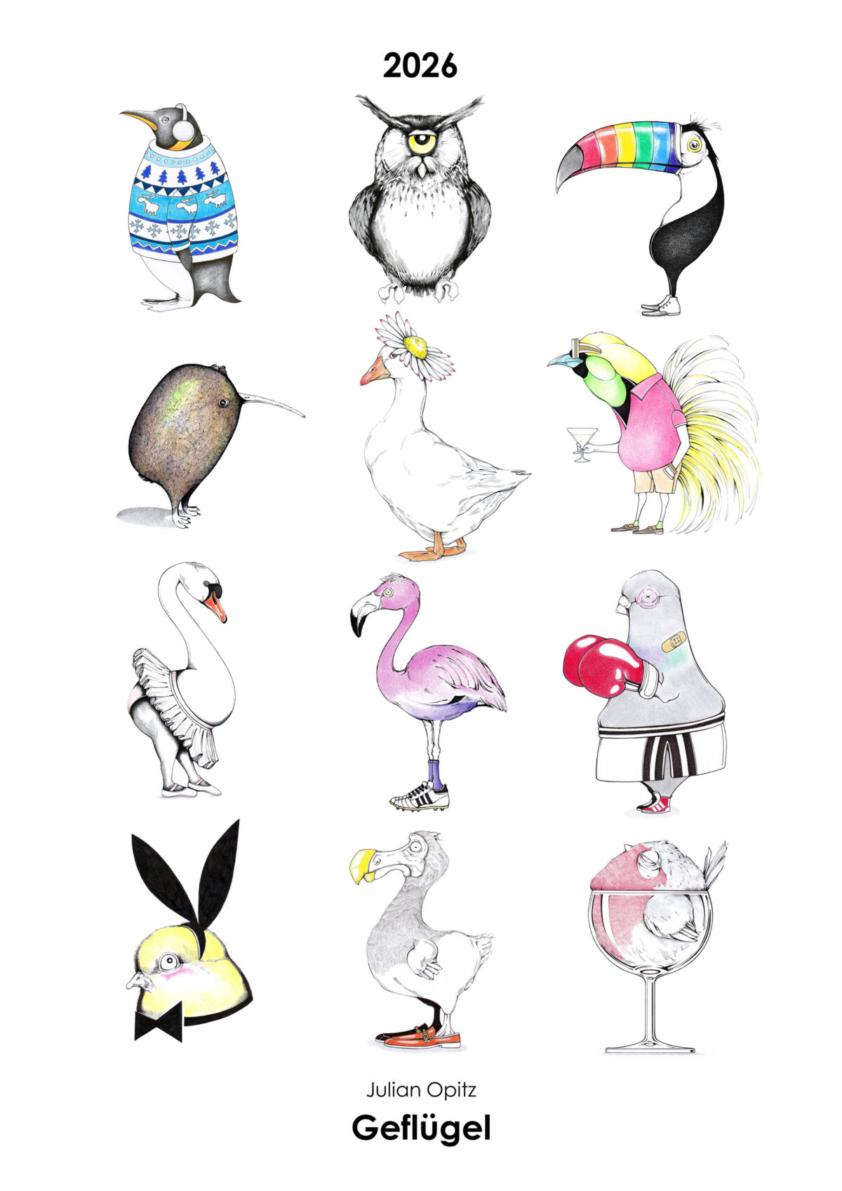 Titelseite des Vogel-Kalenders 2026 mit 12 originellen Vogel-Illustrationen