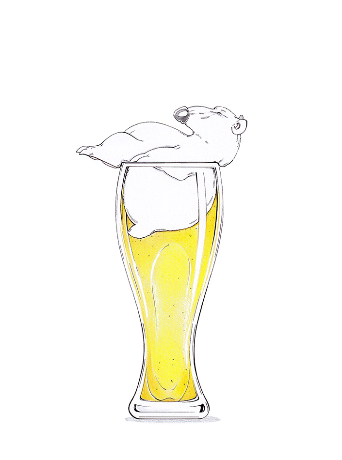Zeichnung eines Eisbären, der wie die weiße Schaumkrone in einem gut gefüllten Weißbierglas sitzt und entspannt. Illustration "Weißbär" von Julian Opitz.